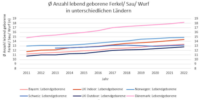 Grafik 4: Durchschnittliche Anzahl lebend geborener Ferkel pro Sau und Wurf in unterschiedlichen Ländern.