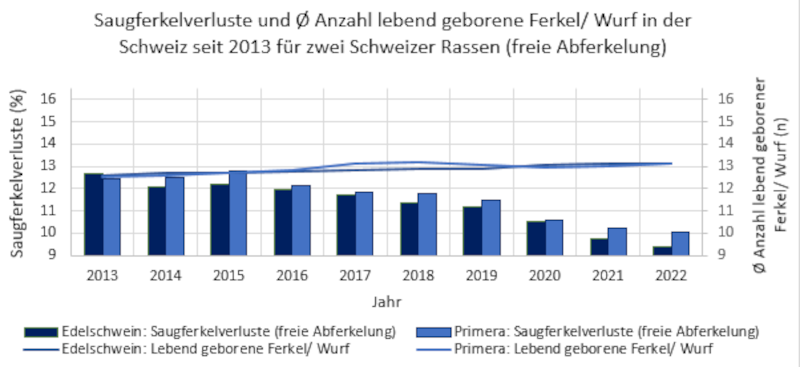 Grafik 8: Saugferkelverluste und durchschnittliche Anzahl lebend geborener Ferkel/ Wurf in der Schweiz seit 2013 nach Daten der SUISAG für zwei Schweizer Rassen (freie Abferkelung).